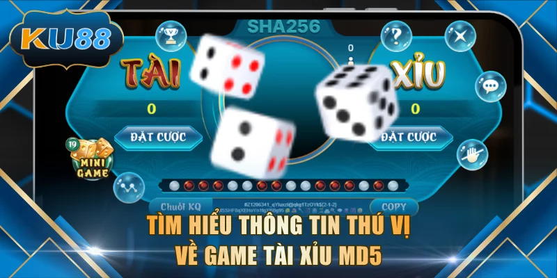 Tìm hiểu thông tin thú vị về game Tài Xỉu MD5